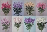 STOCK - ASSORTED SPRAY 5 stem